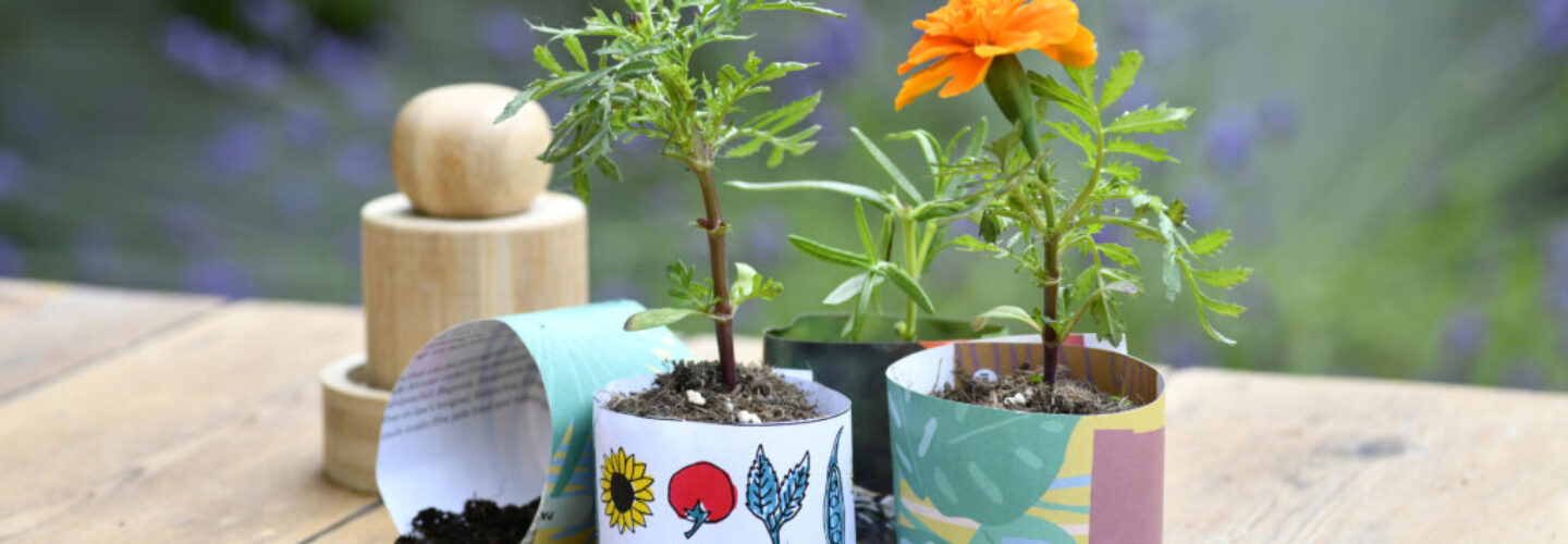 Burgon and Ball RHS 'Growing Gardeners' seedling paper pot maker - lifestyle