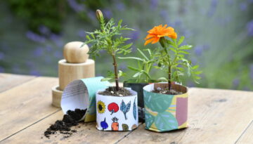 Burgon and Ball RHS 'Growing Gardeners' seedling paper pot maker - lifestyle