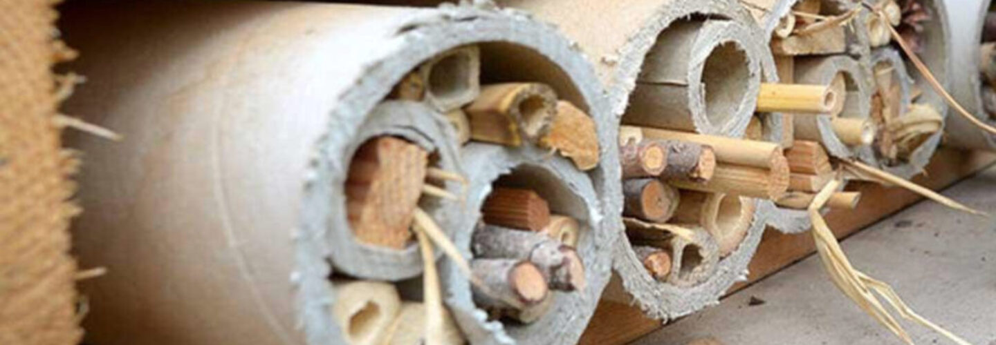 Make a bee hotel