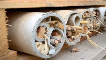 Make a bee hotel