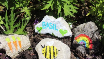 Paint marker pebbles