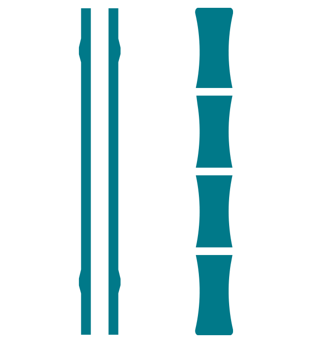 Hollow Plant Stems or Bamboo Canes